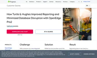 Preview of the Turtle & Hughes Case Study