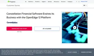 Preview of the Constellation Financial Software Case Study