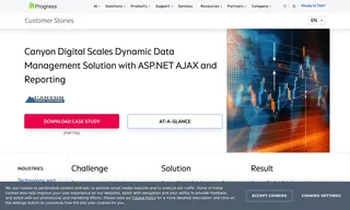 Preview of the Canyon Digital Solutions Case Study