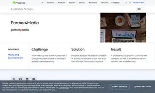 Preview of the Partner4Media Case Study