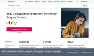 Preview of the eBay Case Study