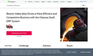 Preview of the Beaver Valley Alloy Foundry Case Study