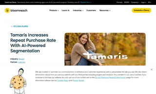 Preview of the Tamaris Case Study