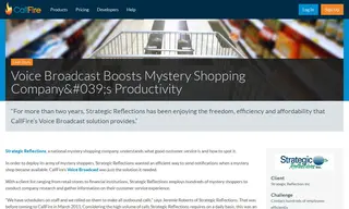Preview of the Strategic Reflections Inc. Case Study
