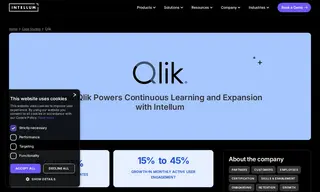Preview of the Qlik Case Study