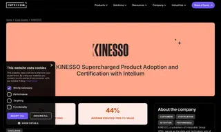 Preview of the KINESSO Case Study