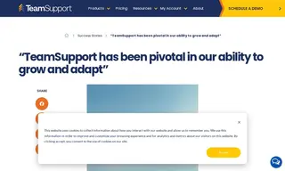 Preview of the ProfitSword Case Study