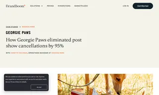 Preview of the Georgie Paws Case Study