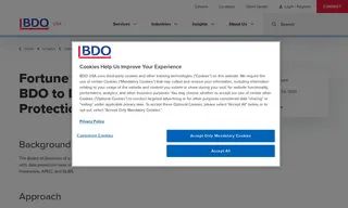 Preview of the Fortune 1000 Company Case Study