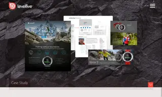 Preview of the Garmin Case Study
