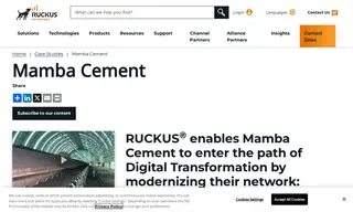 Preview of the Mamba Cement Case Study