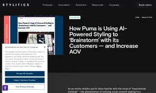 Preview of the Puma Case Study