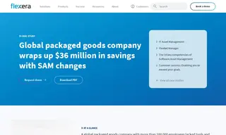 Preview of the Global Packaged Goods Company Case Study