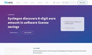 Preview of the Syntegon Case Study