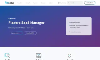 Preview of the Leading Financial Services Company Case Study