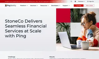 Preview of the Stoneco Case Study