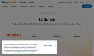 Preview of the Littlefish Case Study