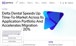 Preview of the Delta Dental Case Study