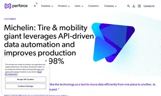 Preview of the Michelin Case Study