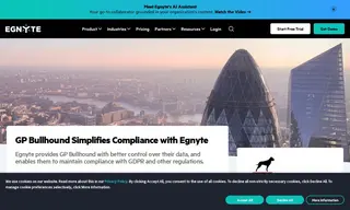 Preview of the GP Bullhound Case Study