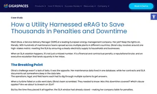 Preview of the Leading European Energy Management Company Case Study