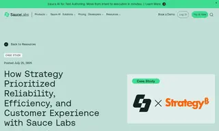 Preview of the Strategy Case Study