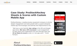 Preview of the ProStockHockey Case Study