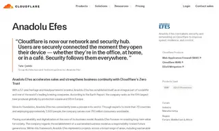 Preview of the Anadolu Efes Case Study