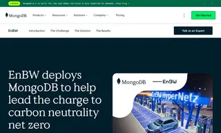 Preview of the EnBW Energie Baden-Württemberg AG Case Study
