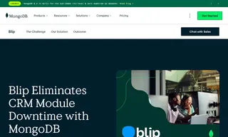 Preview of the Blip Case Study