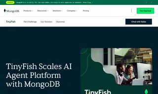 Preview of the TinyFish Case Study