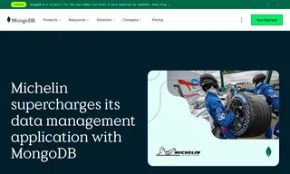 Preview of the Michelin Case Study