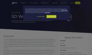 Preview of the SD WORX Case Study
