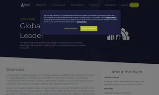 Preview of the Global Industrial Leader Case Study