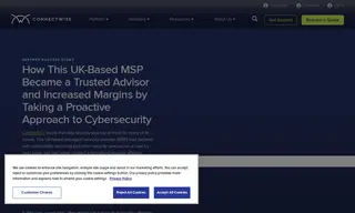 Preview of the Complete IT Case Study