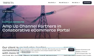 Preview of the Major Electrical Distributor Case Study