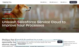 Preview of the Phillips Pet Food & Supplies Case Study
