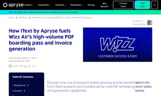 Preview of the Wizz Air Case Study