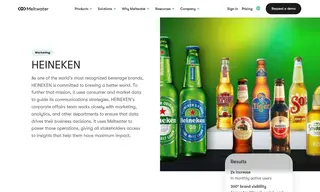 Preview of the Heineken Case Study