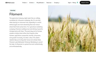 Preview of the Filament Case Study