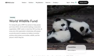 Preview of the World Wildlife Fund Case Study