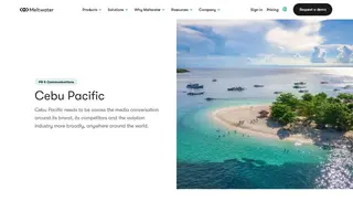 Preview of the Cebu Pacific Air Case Study