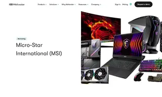Preview of the Micro-Star International Case Study