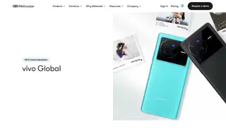Preview of the vivo Case Study