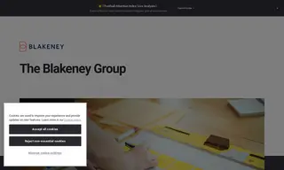 Preview of the The Blakeney Group Case Study