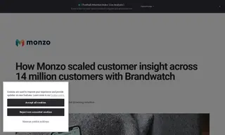 Preview of the Monzo Case Study
