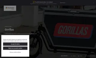 Preview of the Gorillas Case Study