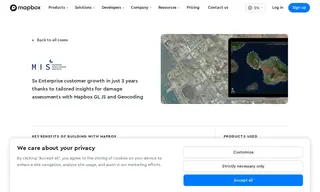 Preview of the McKenzie Intelligence Services Case Study