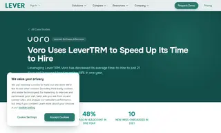 Preview of the Voro Case Study