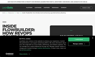 Preview of the RevOps Team Case Study
